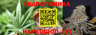 apvp Кандалакша