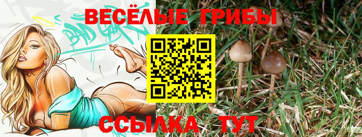 Псилоцибиновые грибы Cubensis Коммунар