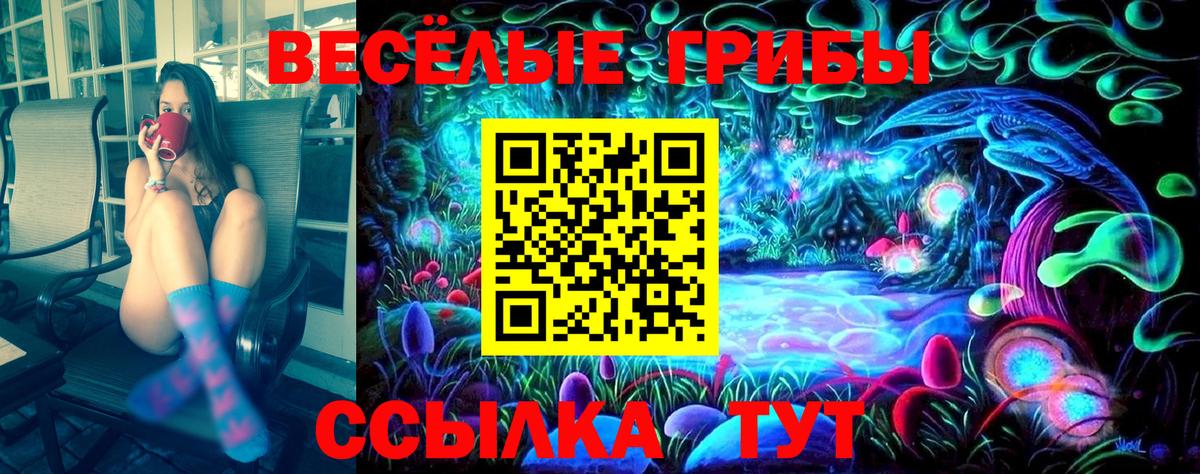 Коммунар  Псилоцибиновые грибы Psilocybe  Вход с VPN  Галлюциногенные грибы MAGIC MUSHROOMS 